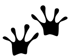 [현제유진] 개구리와 F급 그리고 키스의 기묘한 상관관계