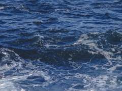 바다와 멀지 않은 곳에 살자.