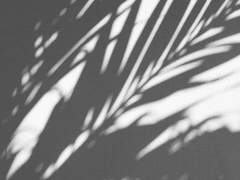 지금은 없는 시절 (4)