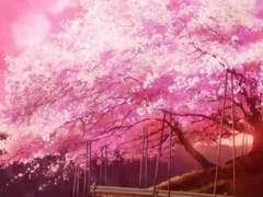 벚꽃 나무 아래