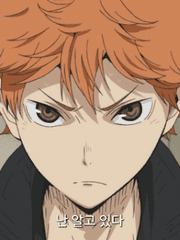 내가 원하는 히나타