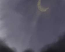 만약 내가 그때까지 산다면