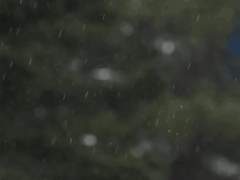 뷔페! 골라 먹어 보세요 시즌5 : 데리러 갈게