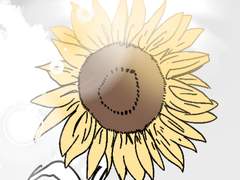 해바라기 마을의 소녀. 5 (完)