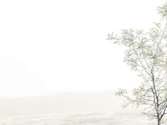 꼭 학생회장이라 그런 건 아니야.