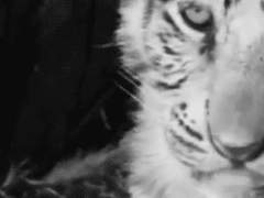 亂 | 지나간 건, 어쩔 수 없는 일이지.