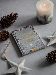 백일몽(白日夢)