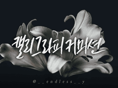 한글 캘리그라피 커미션