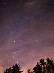 기록자의 노트.