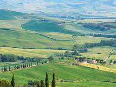 푸른 사이프러스 上