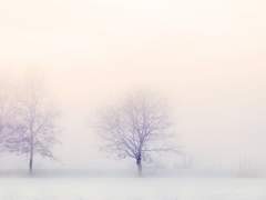 백년해로(百年偕老)