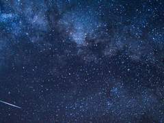 Cynthia W. Night - Profile