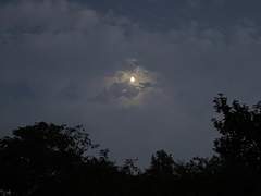 영원을 믿는 분께서는...