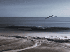 기사가 기사에게