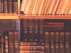 [헤럴드 드 아리타 | 인간 | 해적]