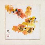 연못의 금붕어(외전)