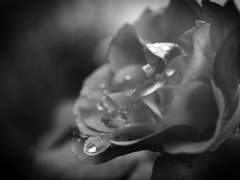 [현대팀] 짧은 글