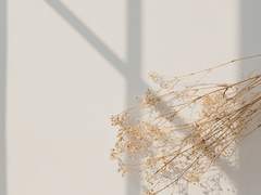 제 유일한 미련에게