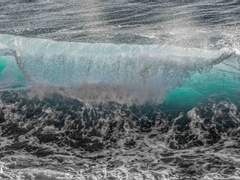 [알베케일/알케] 제물