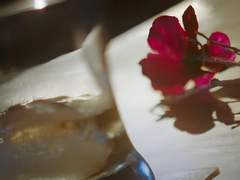 [이연이랑]환희의 멜로디