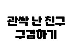 싹난 사람 옆에서 구경한 썰 푼다
