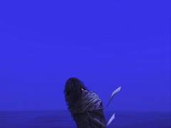 [시라아이신소] 자정의 희망곡