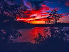 [구세즈] 구세즈의 행복한 꿈