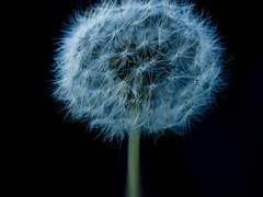 [긴히지] 놓아줌