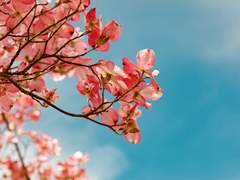 스캔티님 커미션 완성본