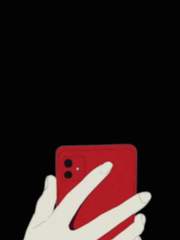 밀그램(ミルグラム)