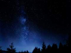 [미하올가] Early Winter Morning.