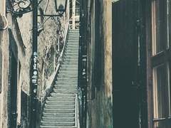 [빅터앙리] 미아