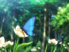 [셋링/예고편] 00. 한낮의 꿈