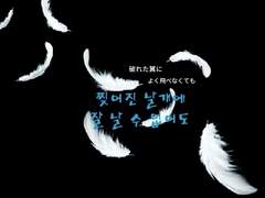 찢어진 날개에 잘 날 수 없어도