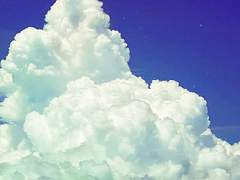 여름이라서 그래