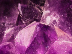 늘 바라왔고, 바라던 것은