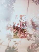 카르페디엠 로그