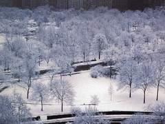 [조각] 길위에서5_ver.15