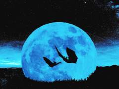 헤비 스모커와 아기 박쥐 00