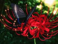 [셋링] 01.마음이 닿다