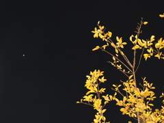 찍은이, 강민지 [창문을 연다]