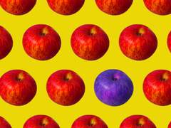 찍은이, 김은지 [보라색 사과의 마음] (외 1)