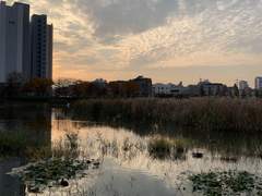 찍은이, 유아영 [어린왕자]