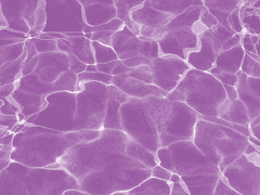 [아쿠아 니컬슨/20살/XX]