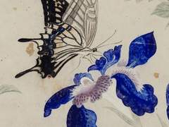 꽃과 나비 – 01