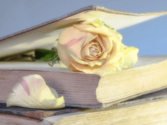 언젠가 연성으로 쓰고 싶은 짤막한 구절들.