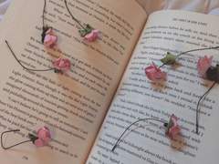 델리아 케이슨/XX/10학년