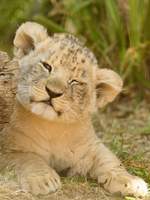 빛과 그림자와 0