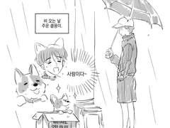 [우쿱] 웰시코기 쿱쮸 - 1