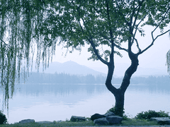 이즈마코 / 족쇄